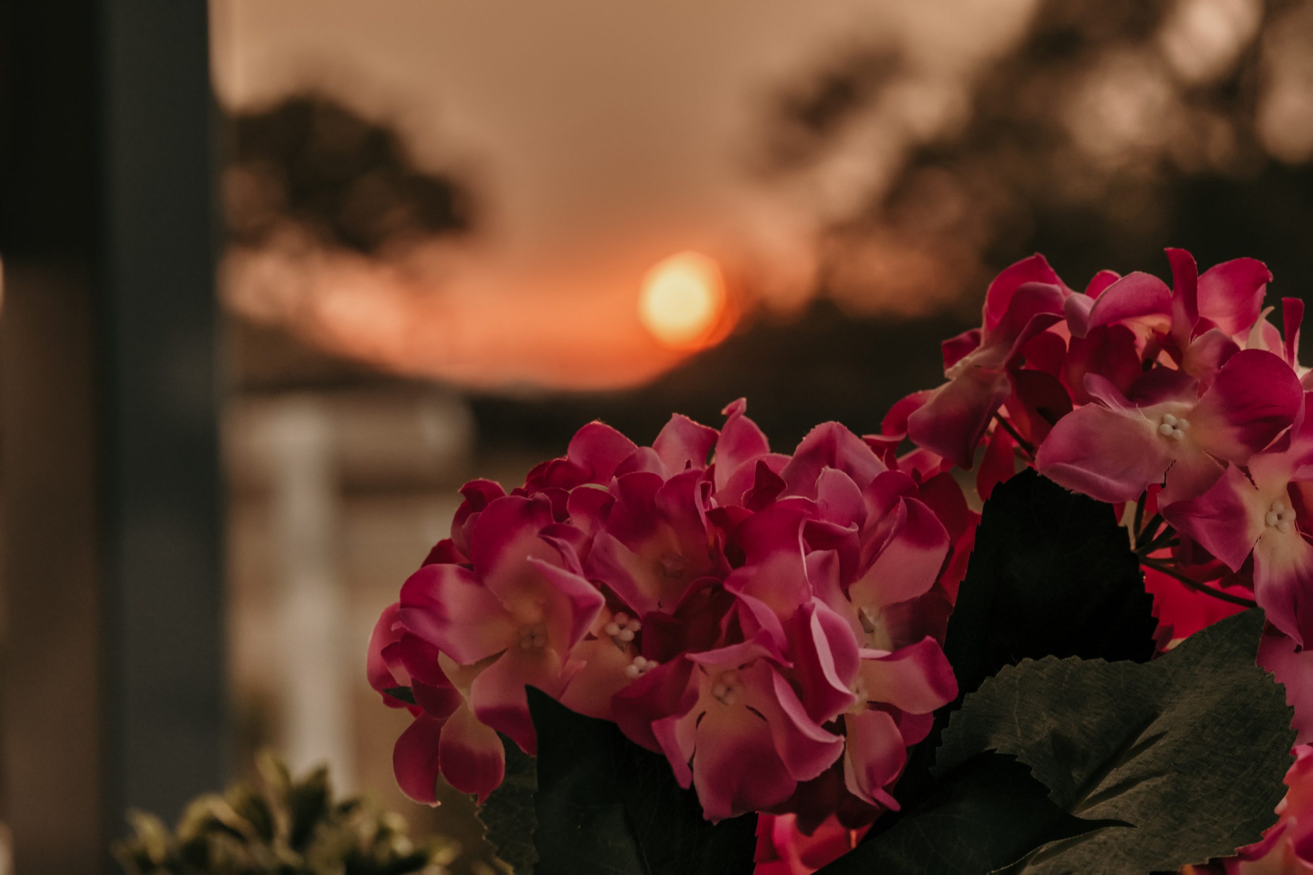 santori_mare_gallery_2900_09