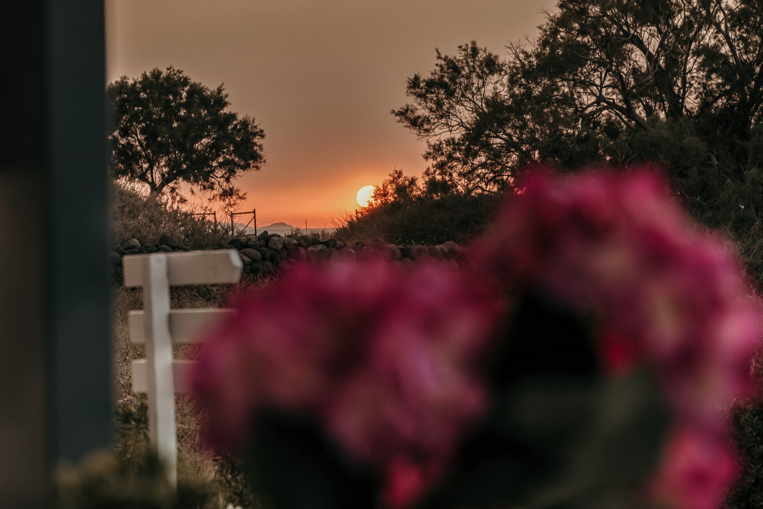 santori_mare_gallery_2900_10