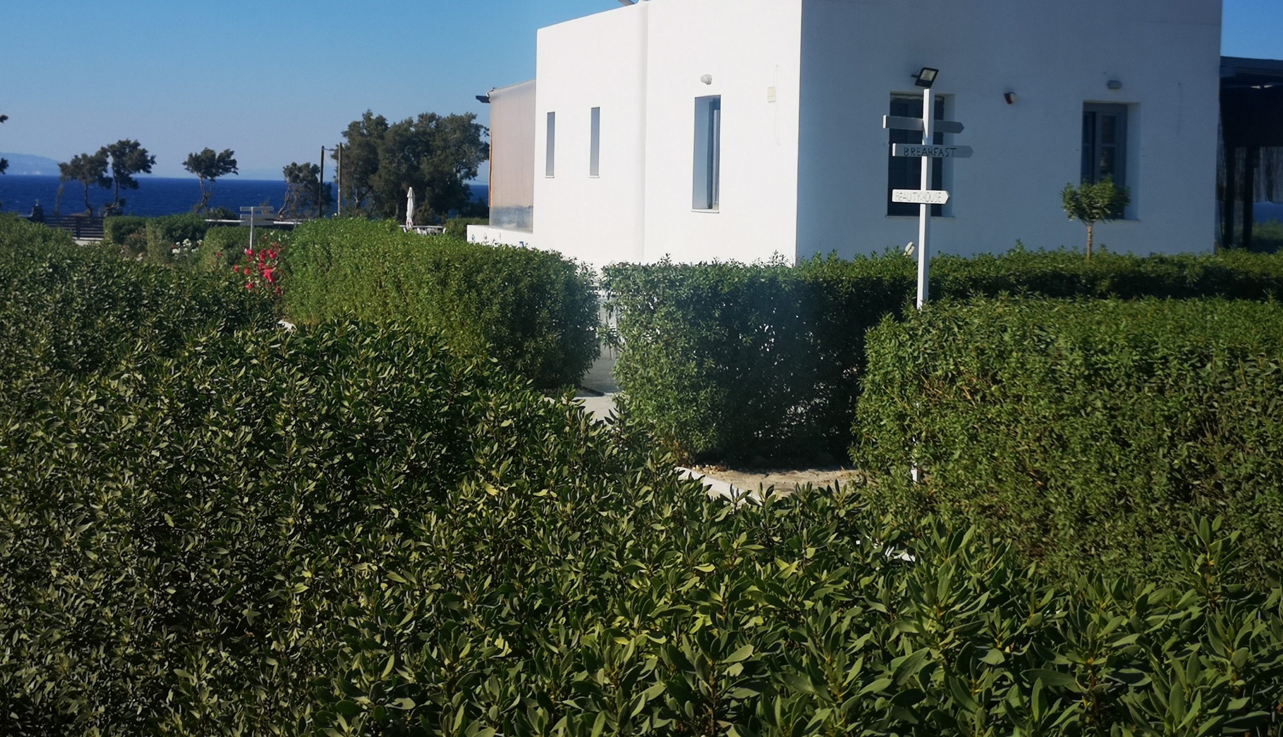 santori_mare_gallery_2900_25