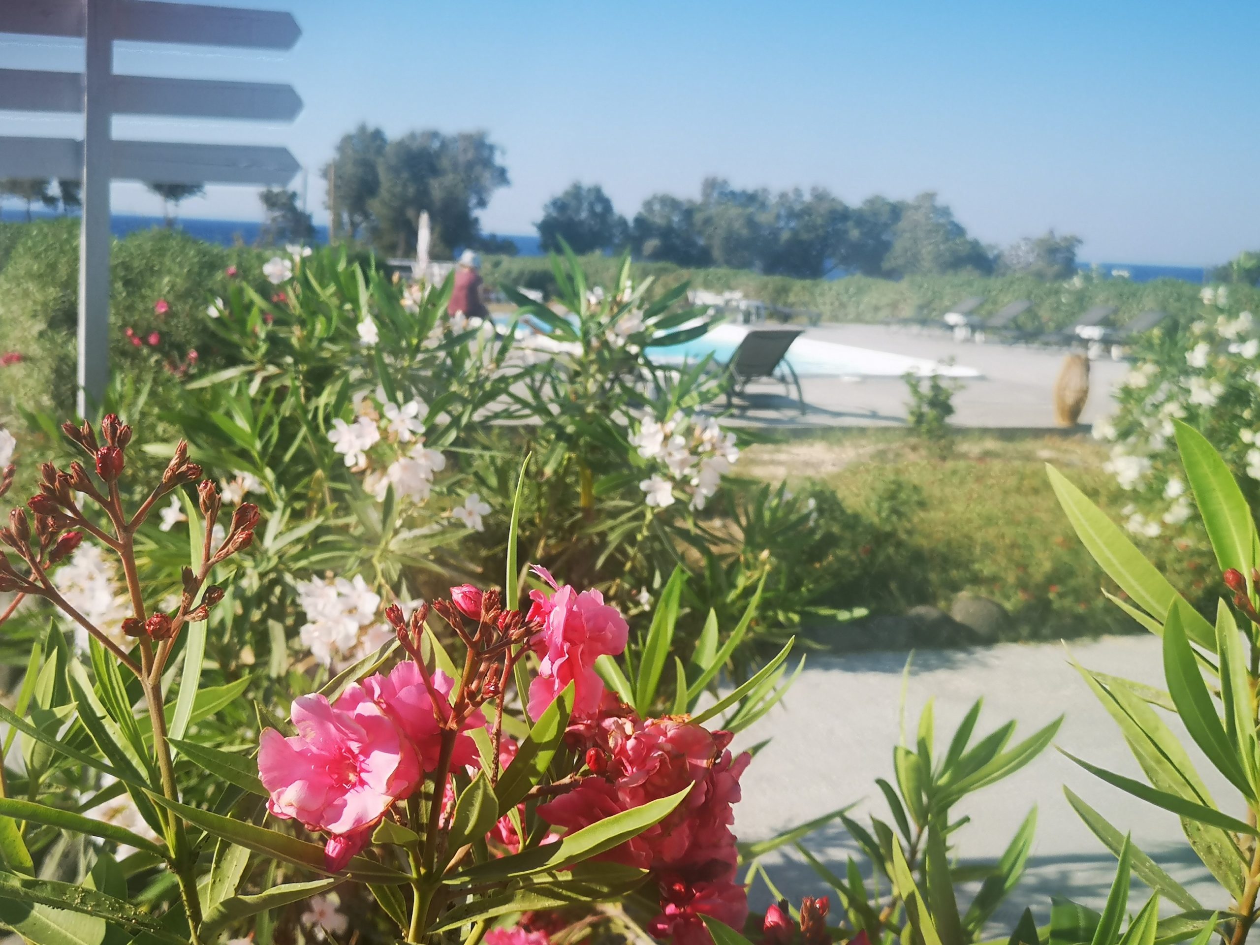 santori_mare_gallery_2900_31