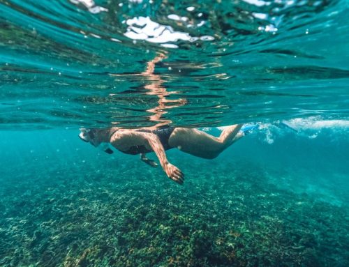 Morning Sea Kayak & Snorkel with Lunch